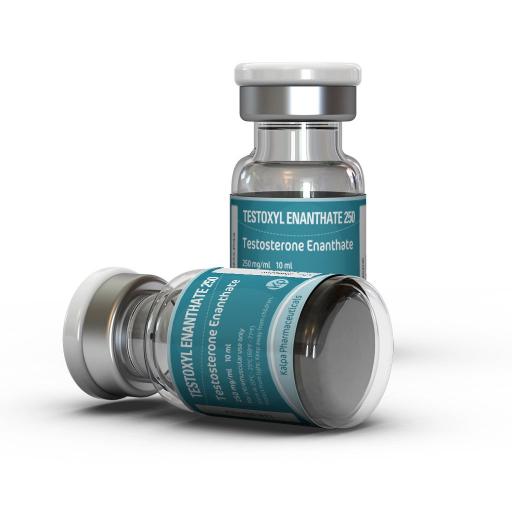 testoxyl-enanthate-250-13762-b